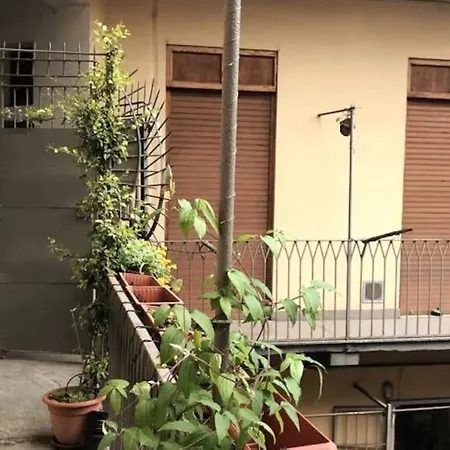 Belfiore17 Turin